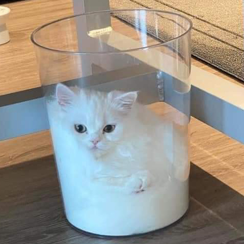 작성자 프로필 이미지