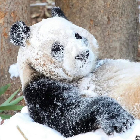 작성자 프로필 이미지