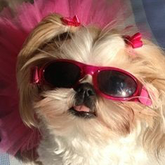 테이블 소개 이미지