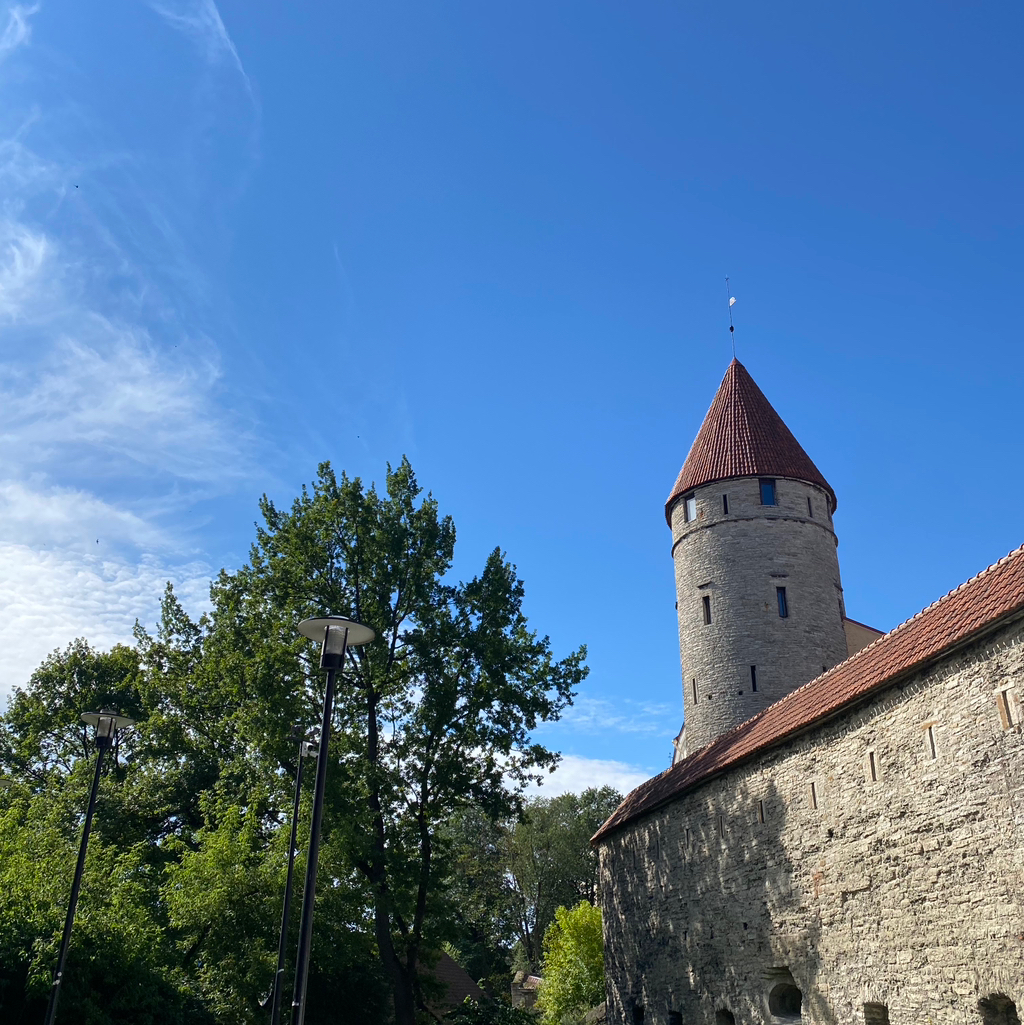 작성자 프로필 이미지