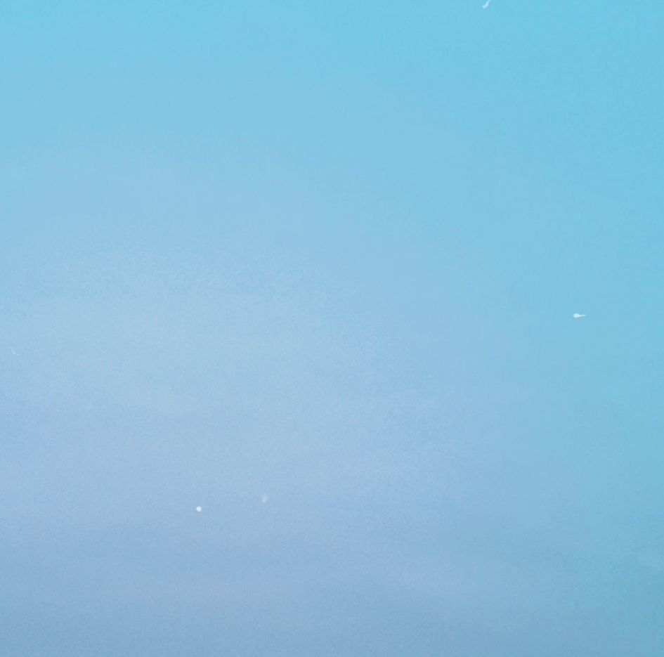 작성자 프로필 이미지