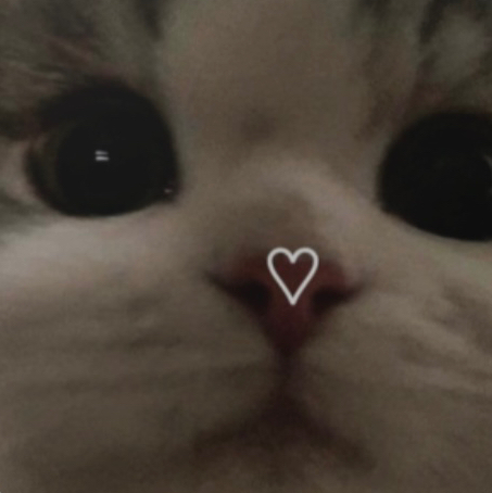 작성자 프로필 이미지