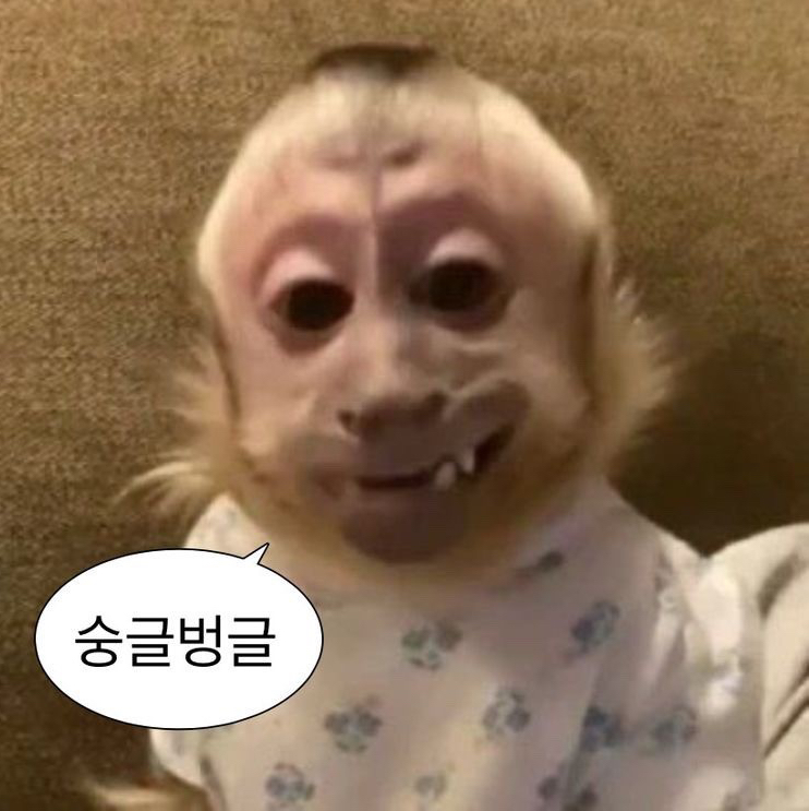 작성자 프로필 이미지