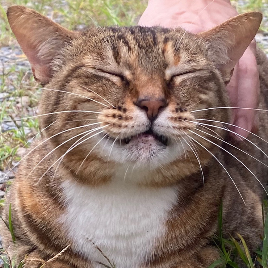 작성자 프로필 이미지