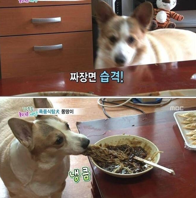 작성자 프로필 이미지