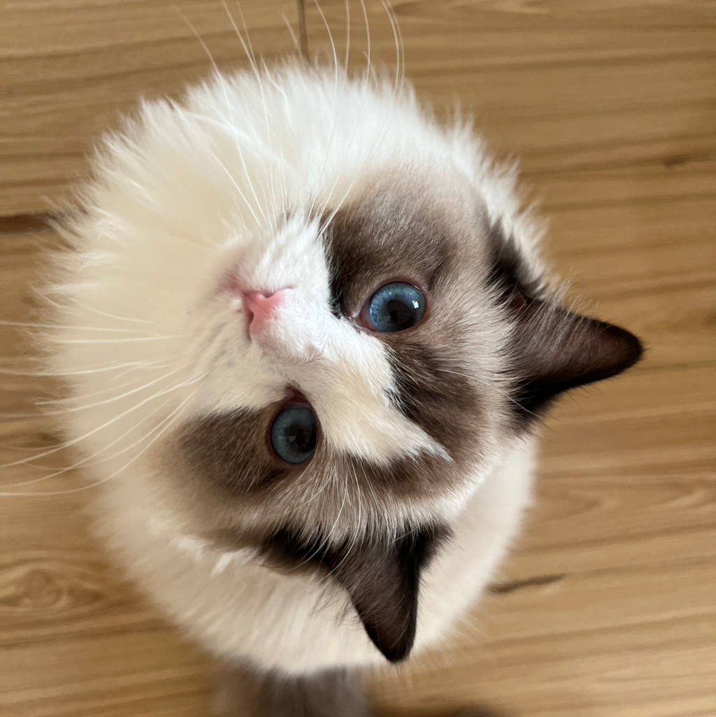 작성자 프로필 이미지