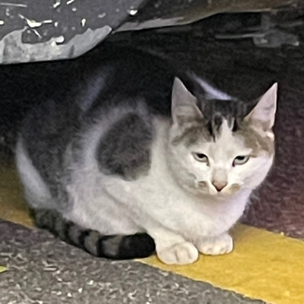 작성자 프로필 이미지