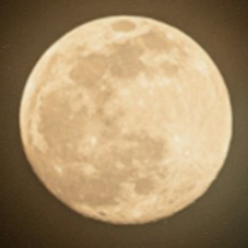 테이블 소개 이미지