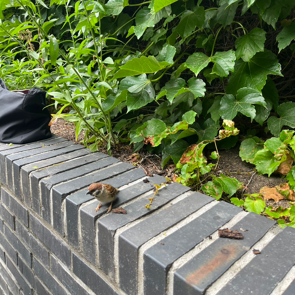 테이블 소개 이미지