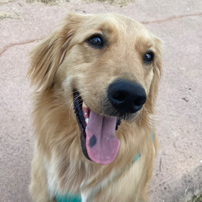 테이블 소개 이미지