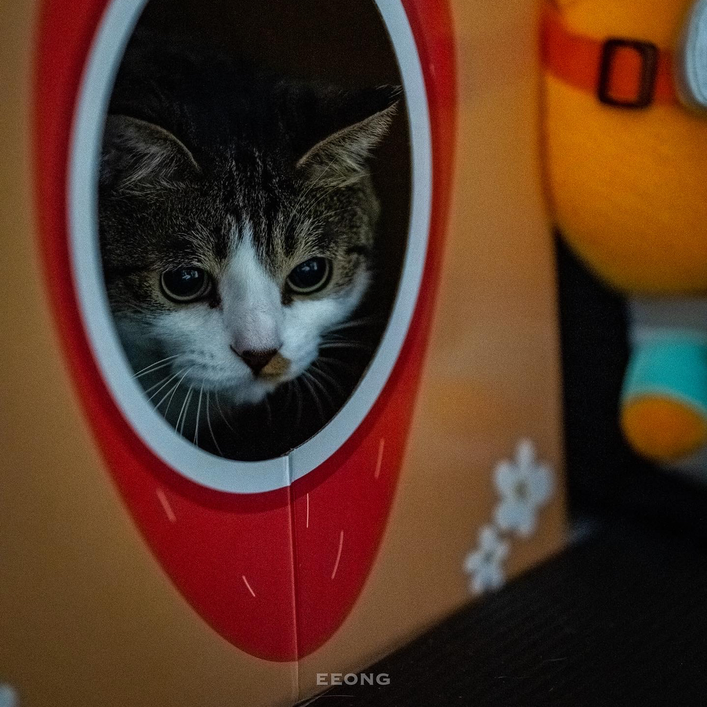 테이블 소개 이미지