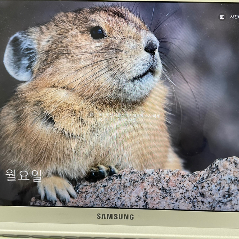 작성자 프로필 이미지