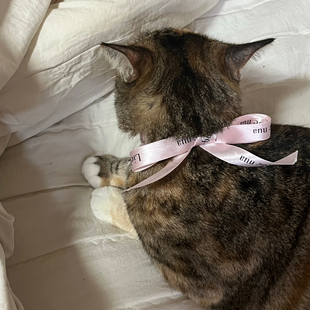 테이블 소개 이미지