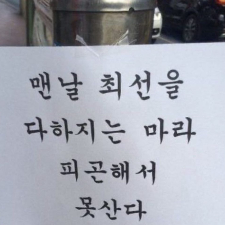 작성자 프로필 이미지