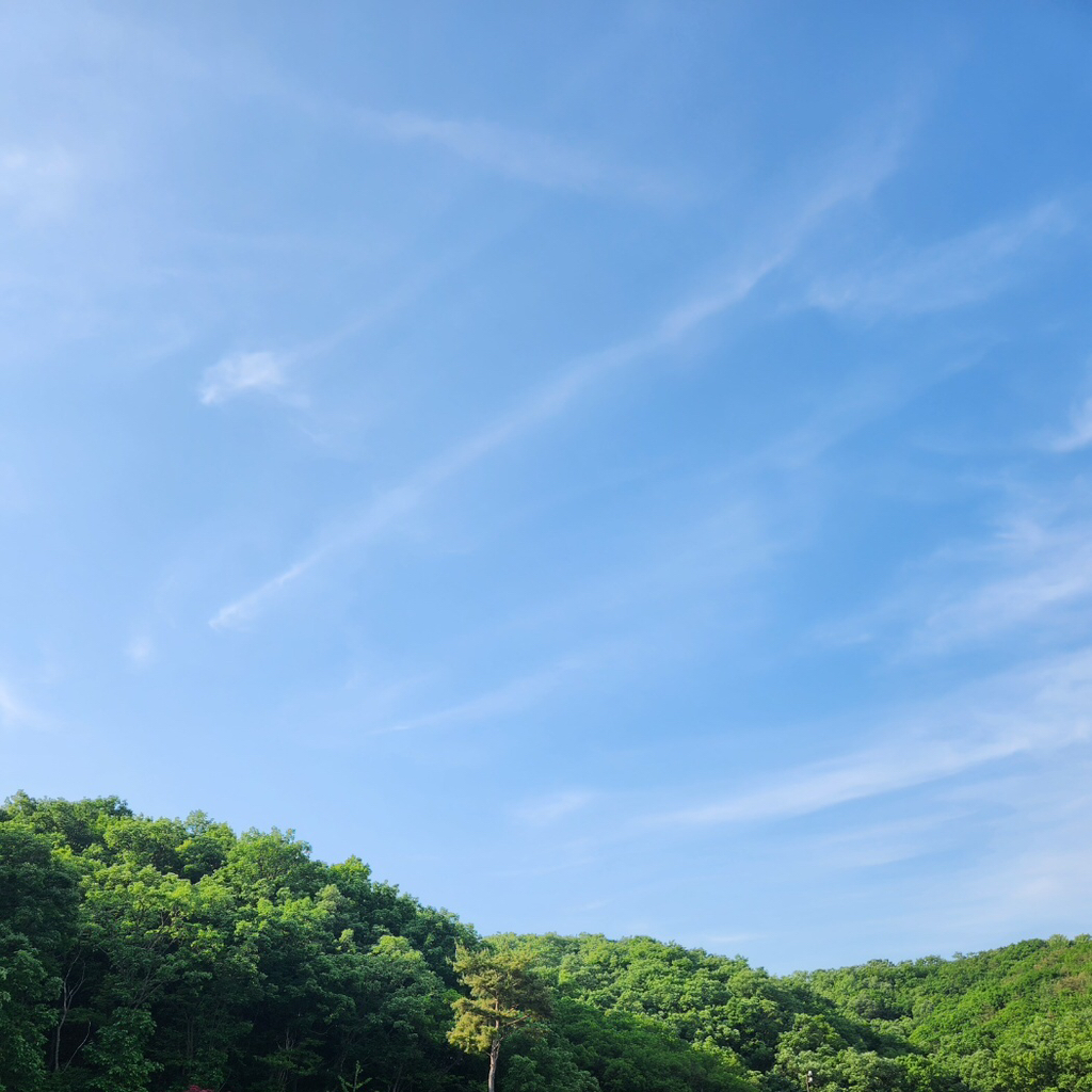 작성자 프로필 이미지