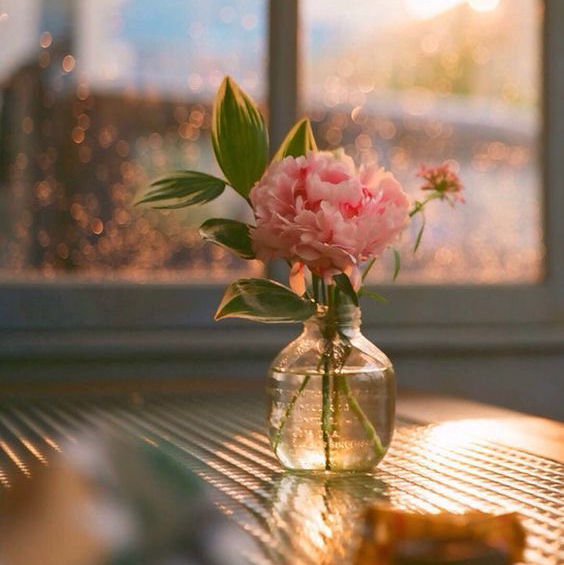 테이블 소개 이미지