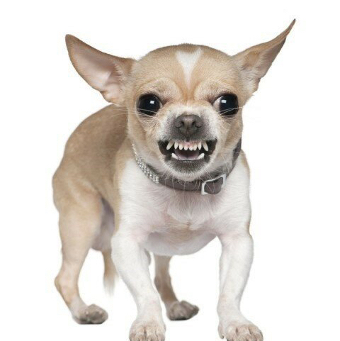 작성자 프로필 이미지