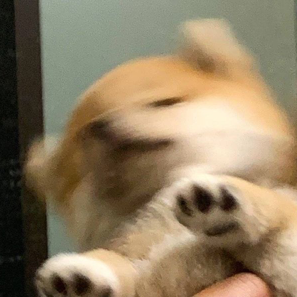 작성자 프로필 이미지