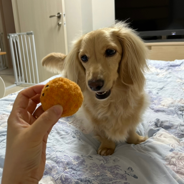 테이블 소개 이미지