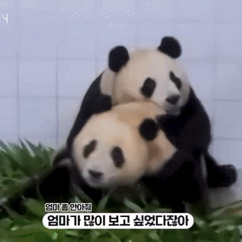 테이블 소개 이미지