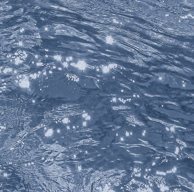 작성자 프로필 이미지