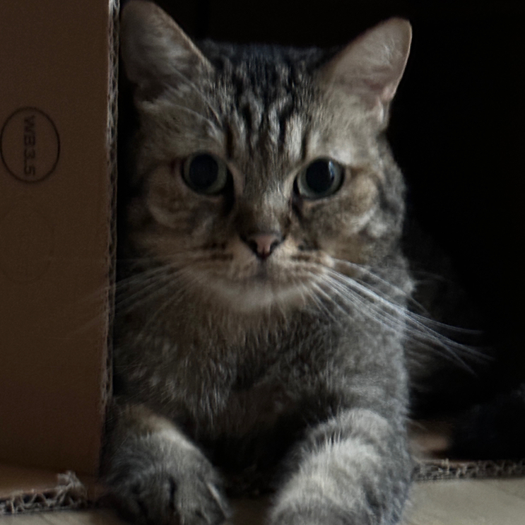 작성자 프로필 이미지