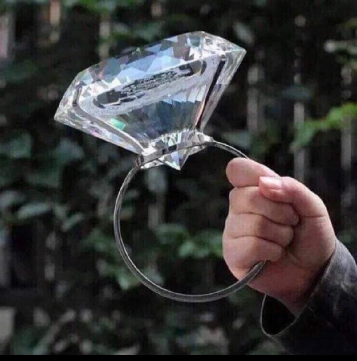 작성자 프로필 이미지