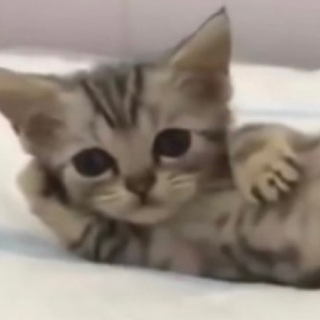 테이블 소개 이미지