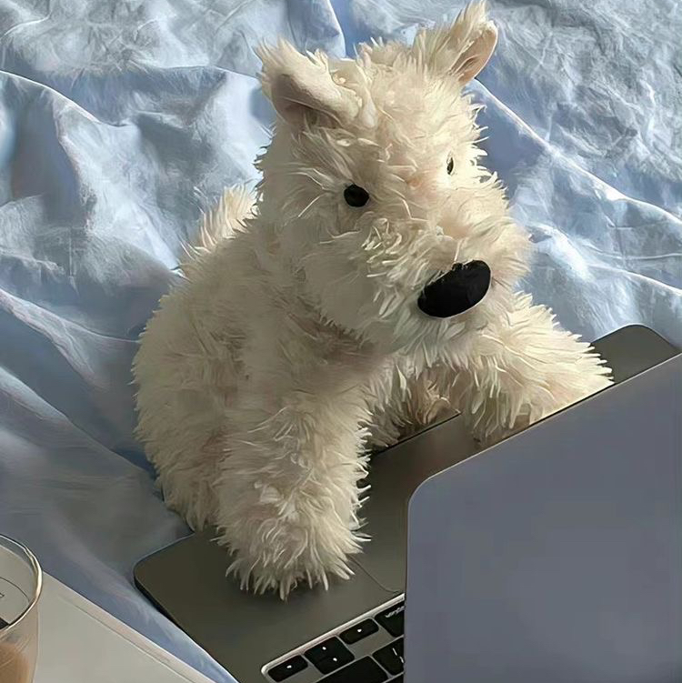 작성자 프로필 이미지