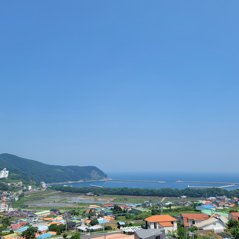 작성자 프로필 이미지