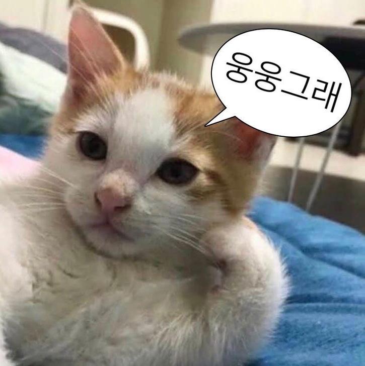 테이블 소개 이미지