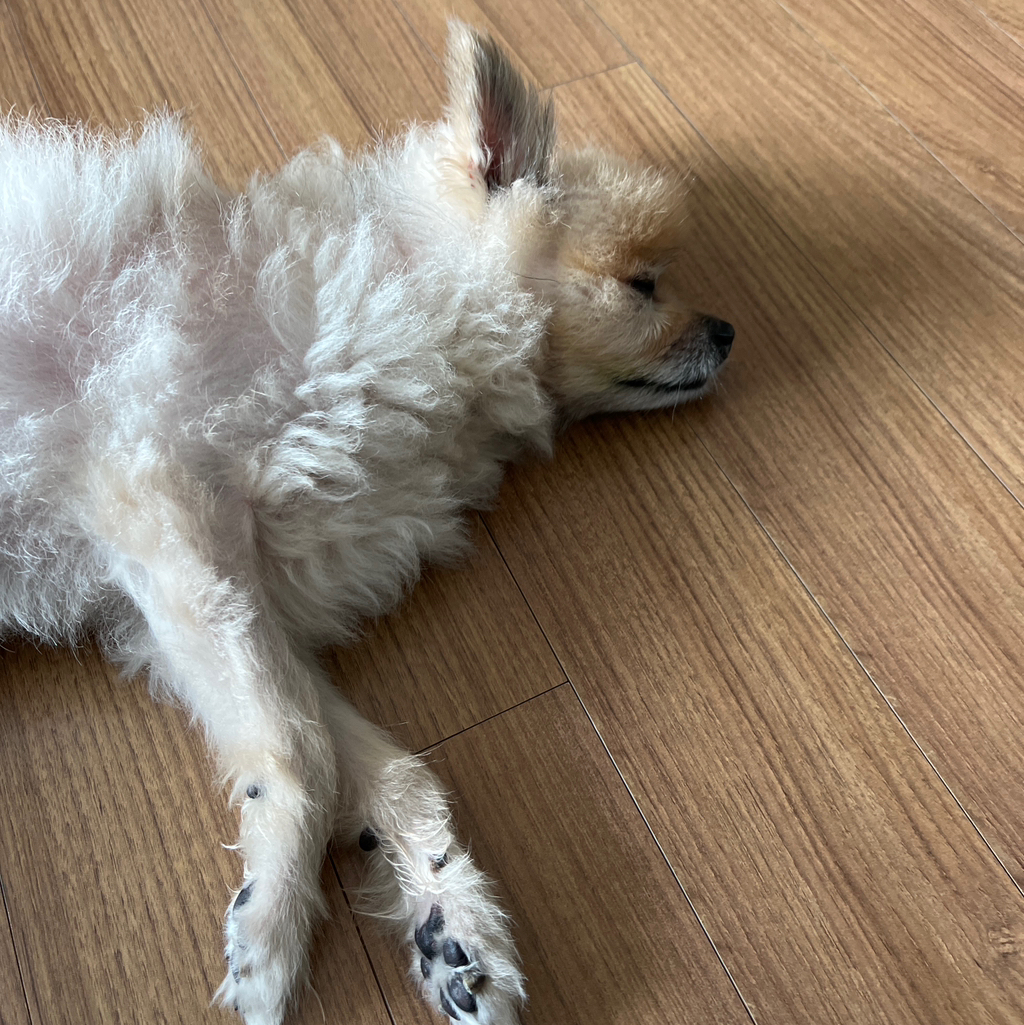 테이블 소개 이미지