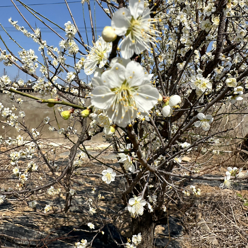 작성자 프로필 이미지