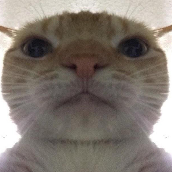 작성자 프로필 이미지