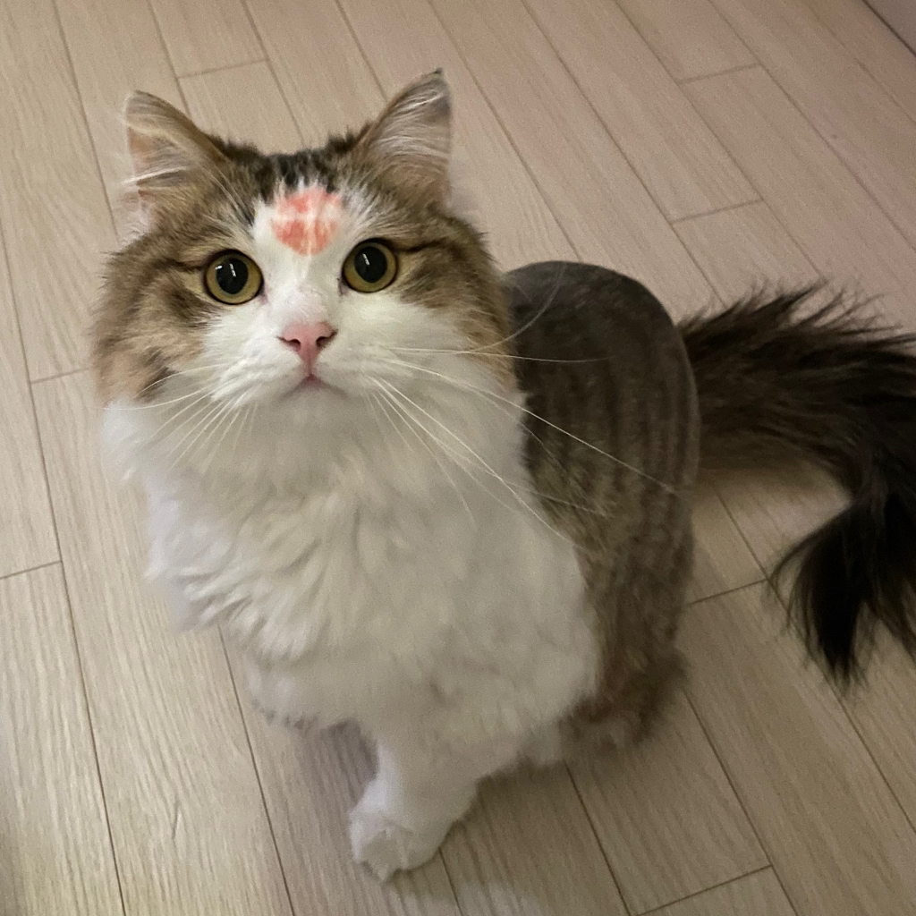 작성자 프로필 이미지