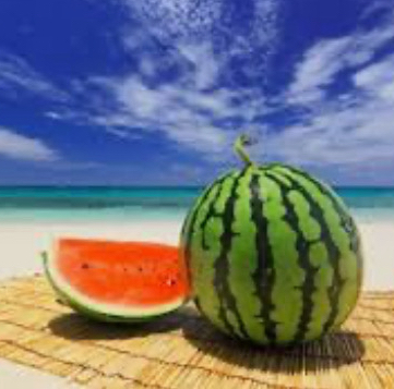 작성자 프로필 이미지