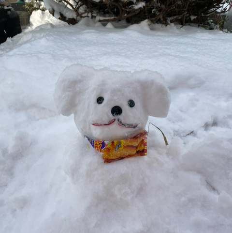 작성자 프로필 이미지