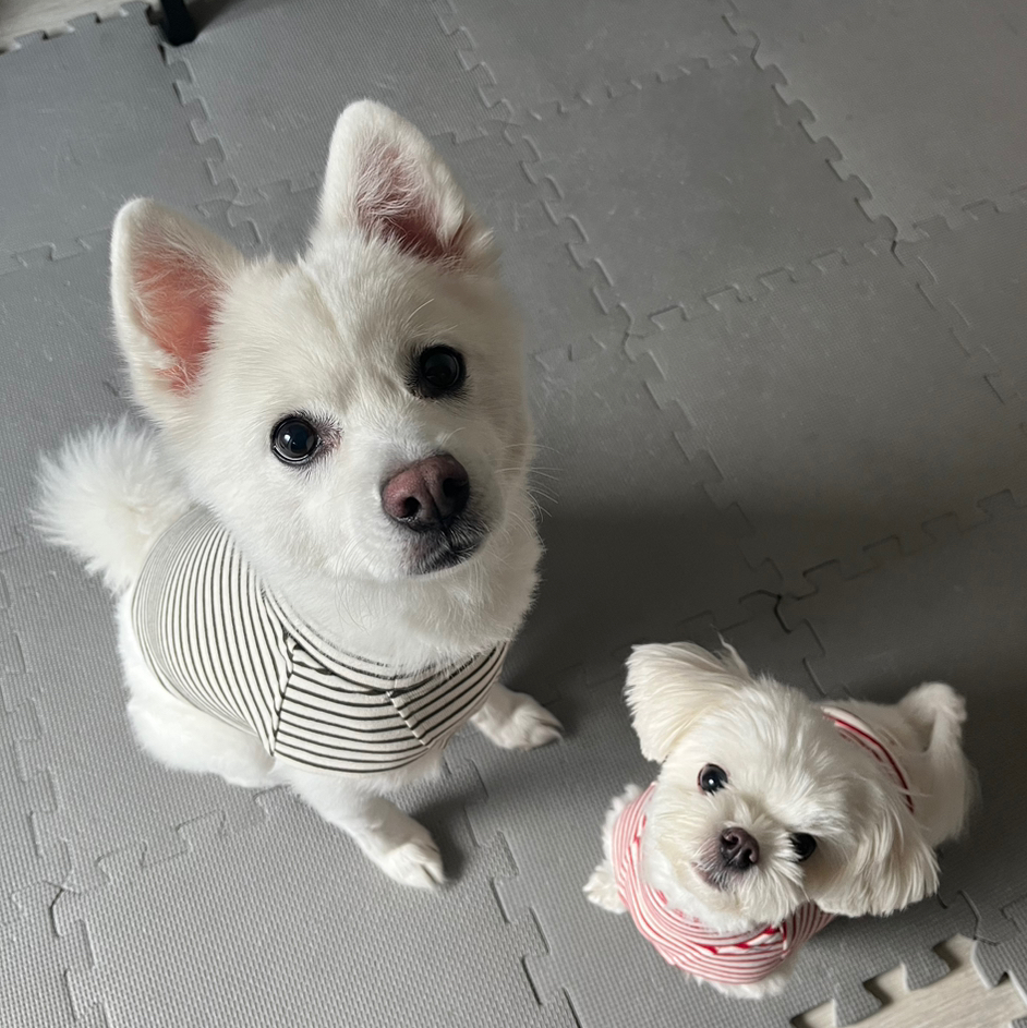 작성자 프로필 이미지