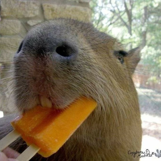 작성자 프로필 이미지