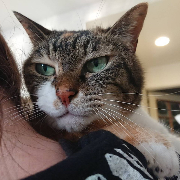 작성자 프로필 이미지