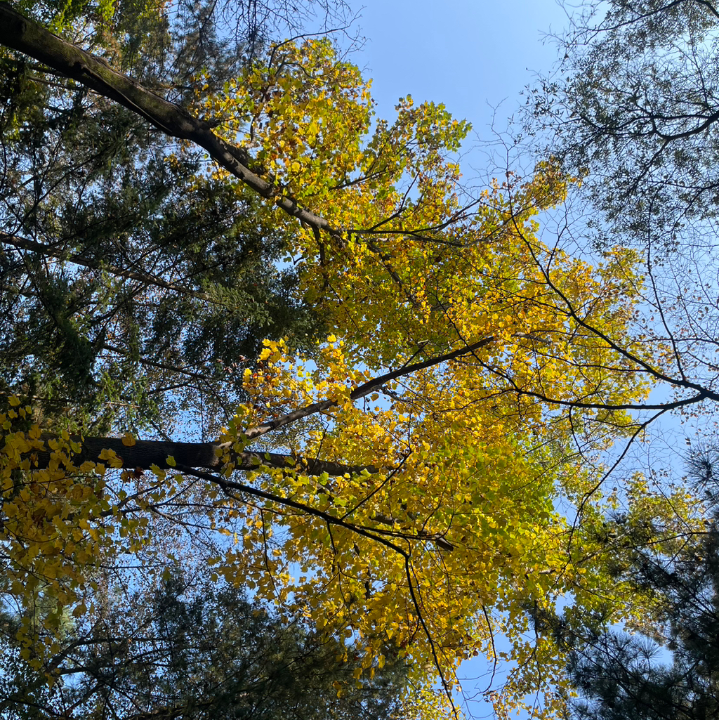 테이블 소개 이미지