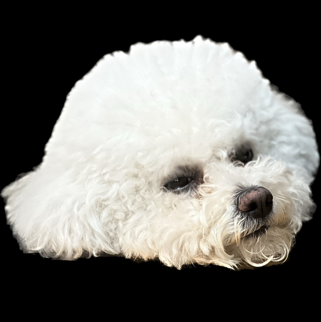 작성자 프로필 이미지