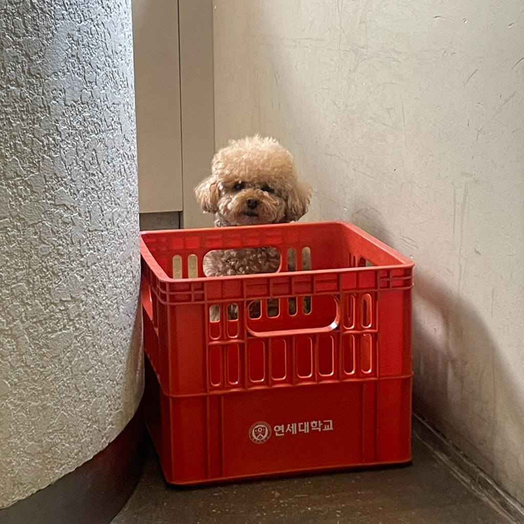 작성자 프로필 이미지