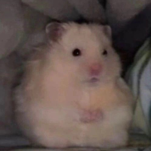 테이블 소개 이미지