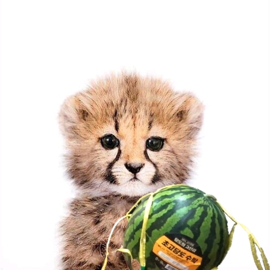 테이블 소개 이미지