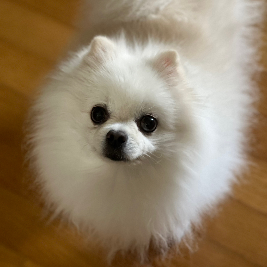 테이블 소개 이미지