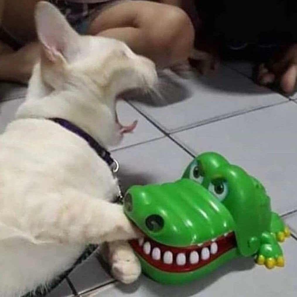 작성자 프로필 이미지