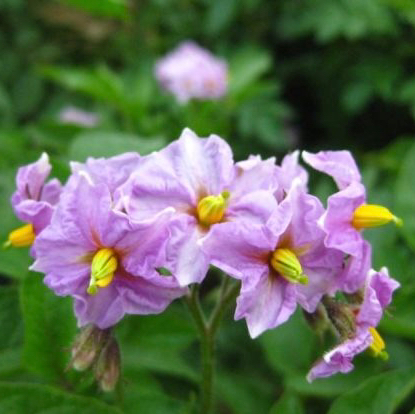 작성자 프로필 이미지