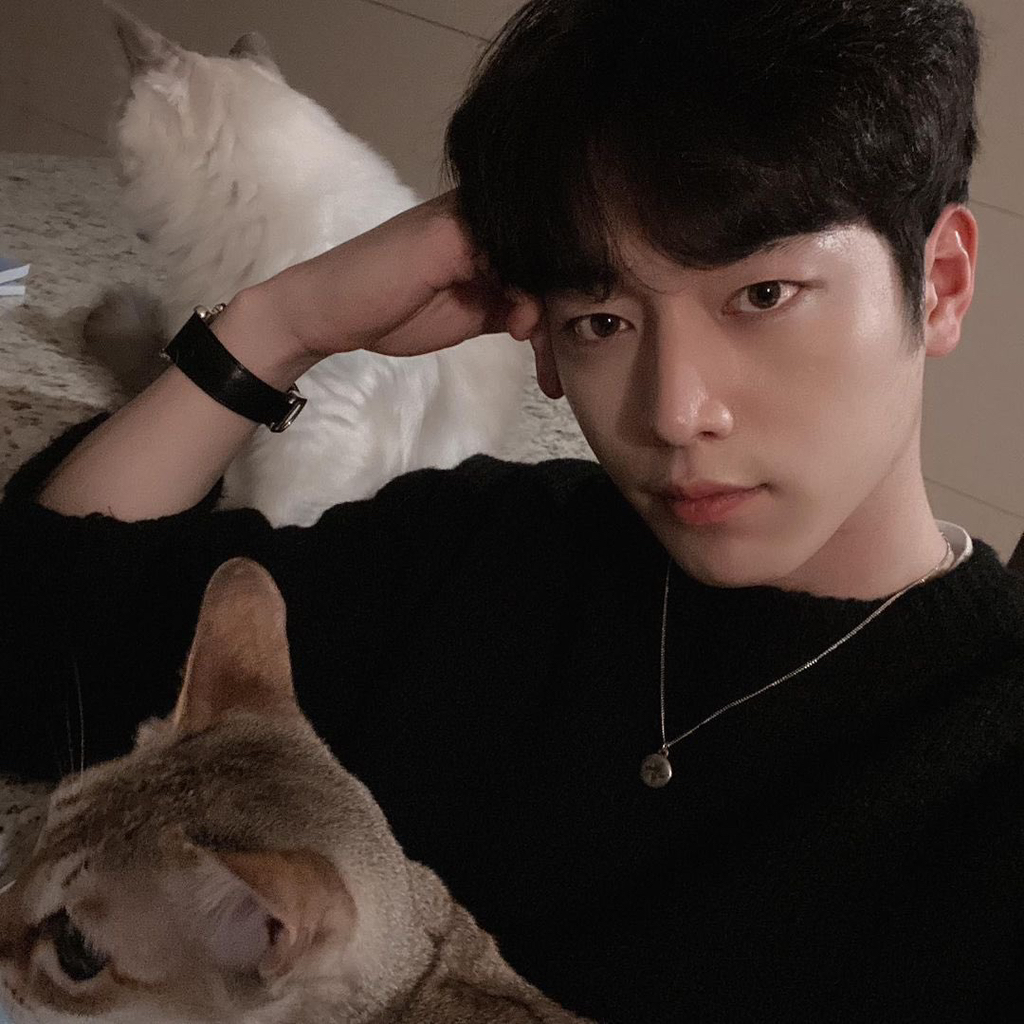 작성자 프로필 이미지