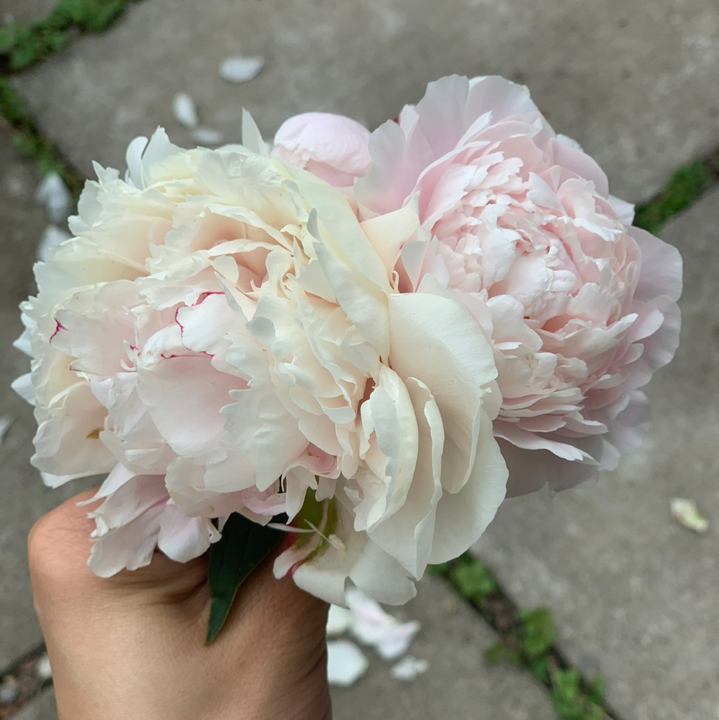 테이블 소개 이미지